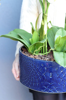 Dark Blue Orient, wysokiej jakości sztuczny storczyk