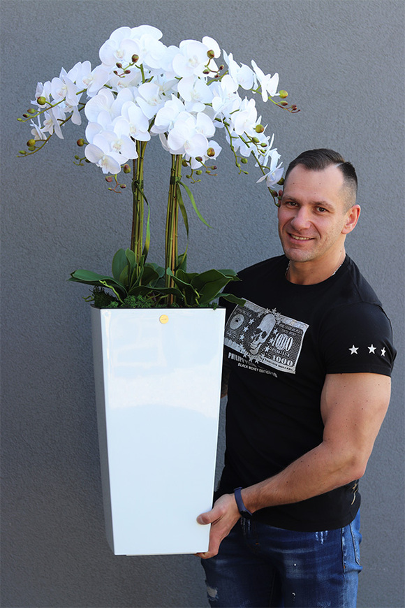 bogaty storczyk podłogowy w białej donicy, Mediolan White, wys.120cm