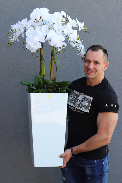 bogaty storczyk podłogowy w białej donicy, Mediolan White, wys.120cm