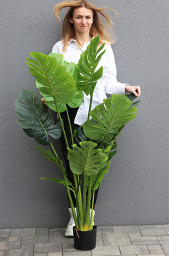 Monstera, sztuczne drzewko w osłonce donicy, wym.150cm