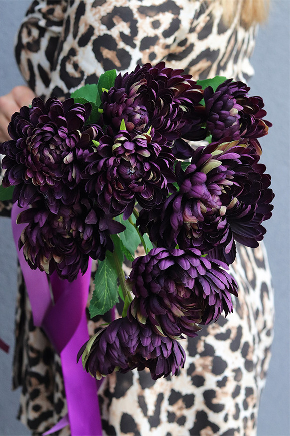 Chryzantema Memory, bukiet chryzantem, fioletowe