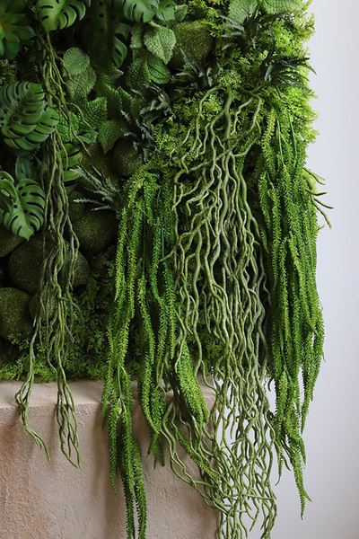 Green Hotel Black, czarna jednostronna rama sukulenty, wym.78x53cm