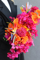 Lawa Strelicja Laos, dekoracja kwiatowa do wnęki