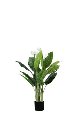 Skrzydłokwiat Kwitnący, wysokiej jakości sztuczna roślina, wym.96cm