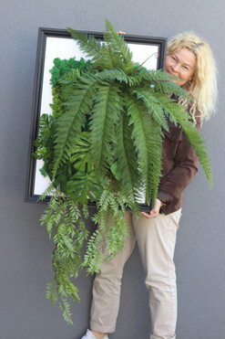 Lisbon Forest Sukulenty, czarna jednostronna rama, wym.77x57cm 