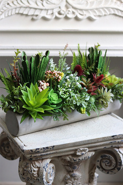 kompozycja sukulenty w długiej donicy, Hektor D 2, dł.48cm 