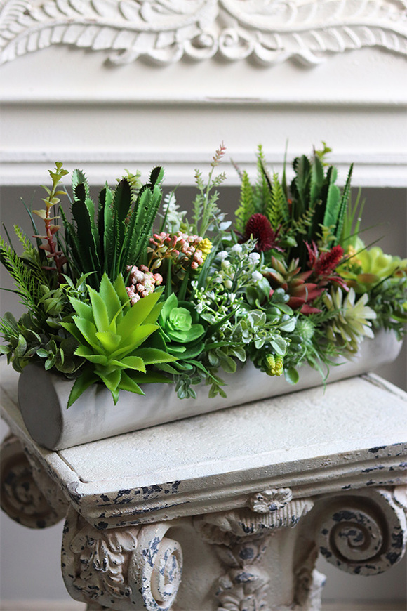 kompozycja sukulenty w długiej donicy, Hektor D, dł.48cm