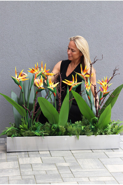 Silver Hilton Strelicja Long, egzotyczna dekoracja w stalowej donicy