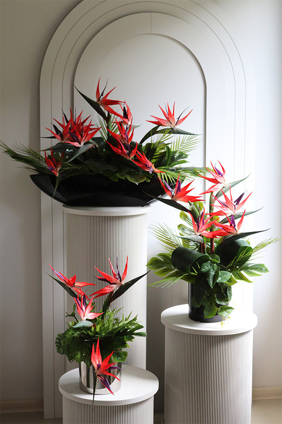 Moderni Figaro Silver, kompozycja ze strelicją w lustrzanej donicy