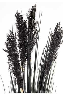 sztuczna trawa Pióropusze Black, wys.92cm 