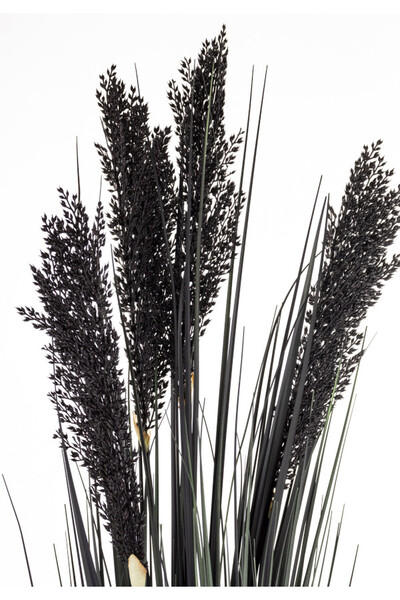 sztuczna trawa Pióropusze Black, wys.92cm