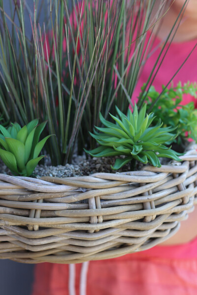 Rattania Alabama, kompozycja z traw i sukulentów w koszu