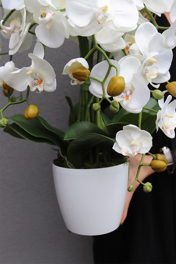 White House Mediolan, sztuczny storczyk w donicy