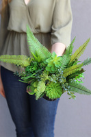 Black Ferina Castello, kompozycja sukulenty w donicy, wys.32cm