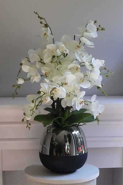 Patras, storczyk w szklanym naczyniu