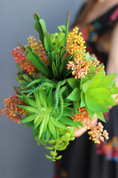 Miodowa, kompozycja sukulenty w donicy vintage, wys.25cm 