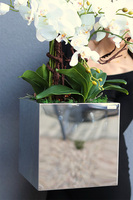 storczyk w stalowej donicy, Mirror Silver Cube