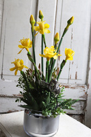 kompozycja wiosenna z gumowymi żonkilami, Esteria Salise, wys.54cm