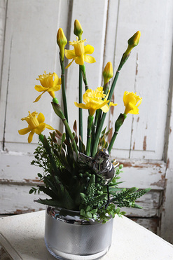 kompozycja wiosenna z gumowymi żonkilami, Esteria Salise, wys.54cm