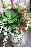 Augustina Design, kompozycja z sukulentami, wym.36x30cm