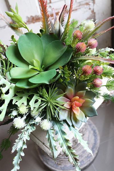 Augustina Design, kompozycja z sukulentami, wym.36x30cm