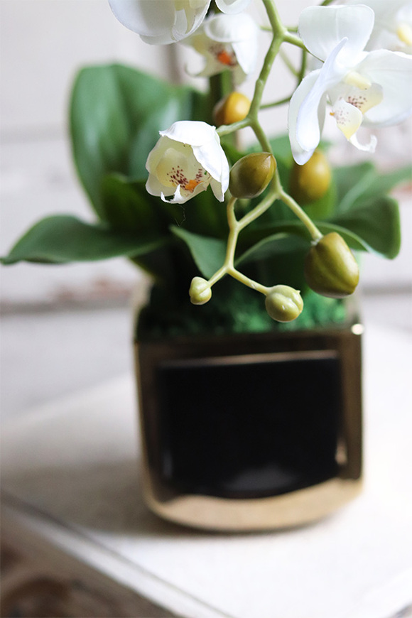 Gold Terra, elegancki storczyk w ceramicznej donicy, wys.54cm