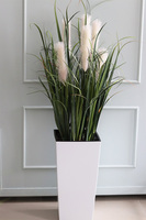 Heristo, kompozycja z traw pampasowych w białej donicy, wys.135cm