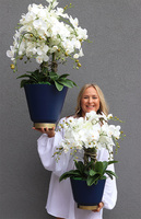 Blue Moon, biały sztuczny storczyk w niebieskiej donicy