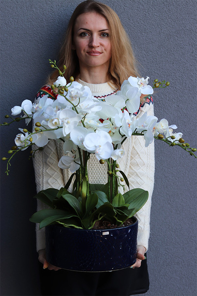 Dark Blue Orient, wysokiej jakości sztuczny storczyk