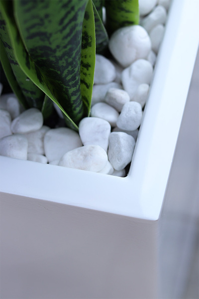 Sansewieria Fiberglass Marco, roślina sztuczna w donicy