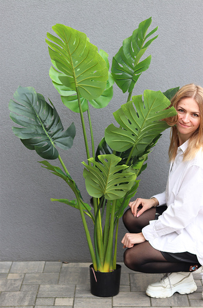 Monstera, sztuczne drzewko w osłonce donicy