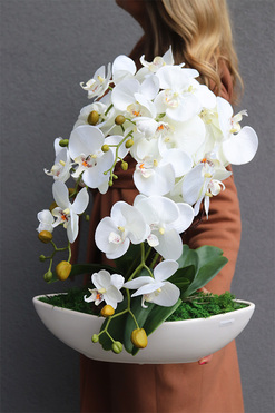 sztuczny storczyk, Laos New, wys.55cm