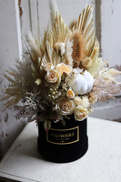 Velurowa Dynia Black, jesienny flowerbox z suszem