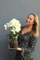 Glassier Como, storczyk w szklanej tubie