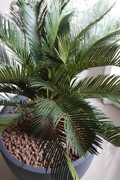 Cykas Concrete, sztuczna roślina w betonowej donicy, wys.112cm