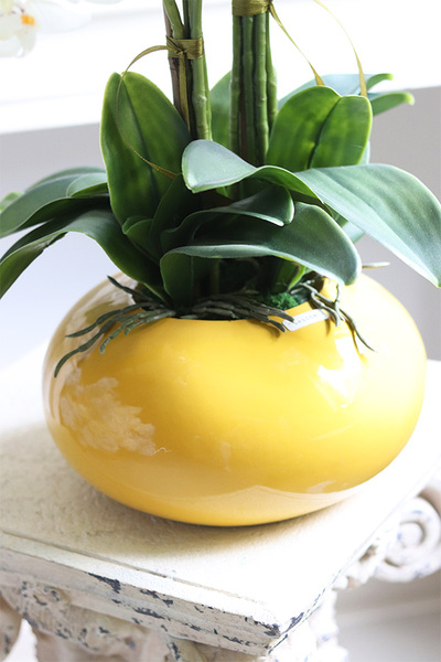 Słońce, sztuczny storczyk w żółtym naczyniu