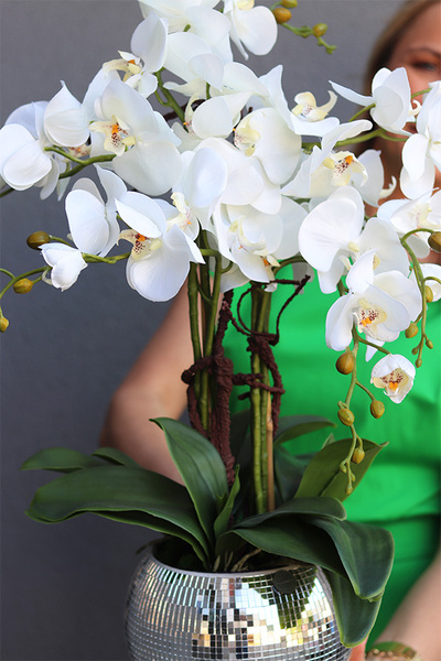 storczyk w mozaikowej kuli, Explosion Mirrors