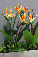 Silver Hilton Strelicja Long, egzotyczna dekoracja w stalowej donicy