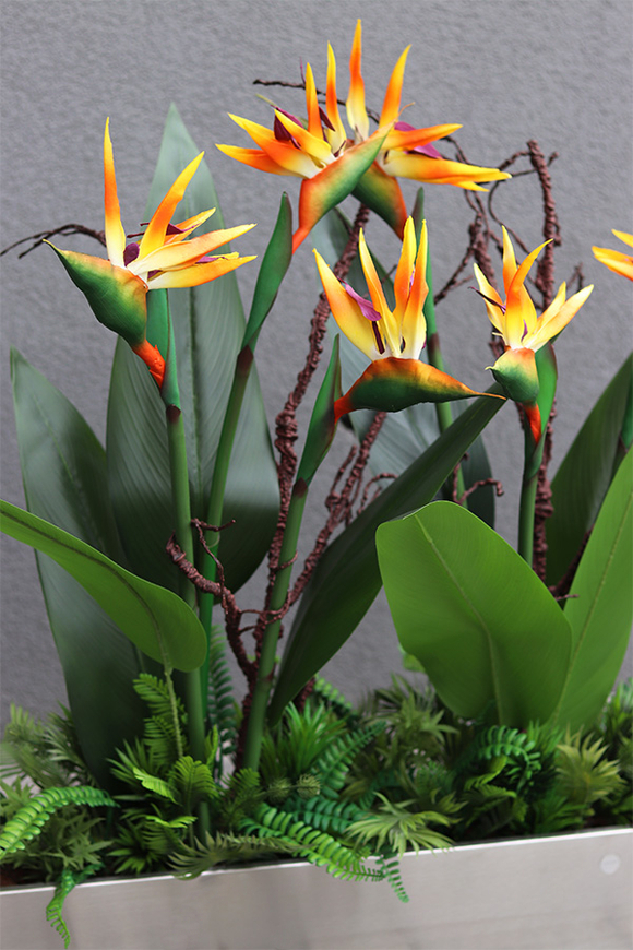 Silver Hilton Strelicja Long, egzotyczna dekoracja w stalowej donicy