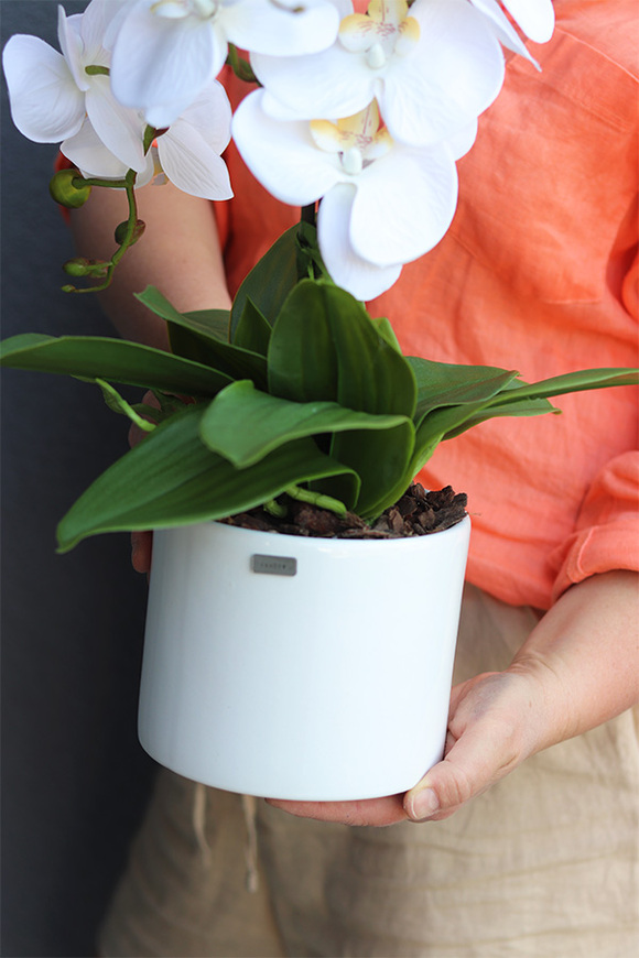 Emily Pure White, śnieżnobiały sztuczny storczyk