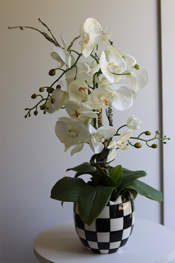 Szachownica, sztuczny storczyk w doniczce, wys.57cm