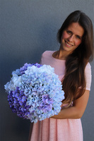 bajeczna kompozycja z niebieskich hortensji, Kleonisa, wym.32x27cm 