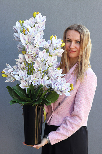 Jagodowe Cymbydium, storczyk w donicy klienta