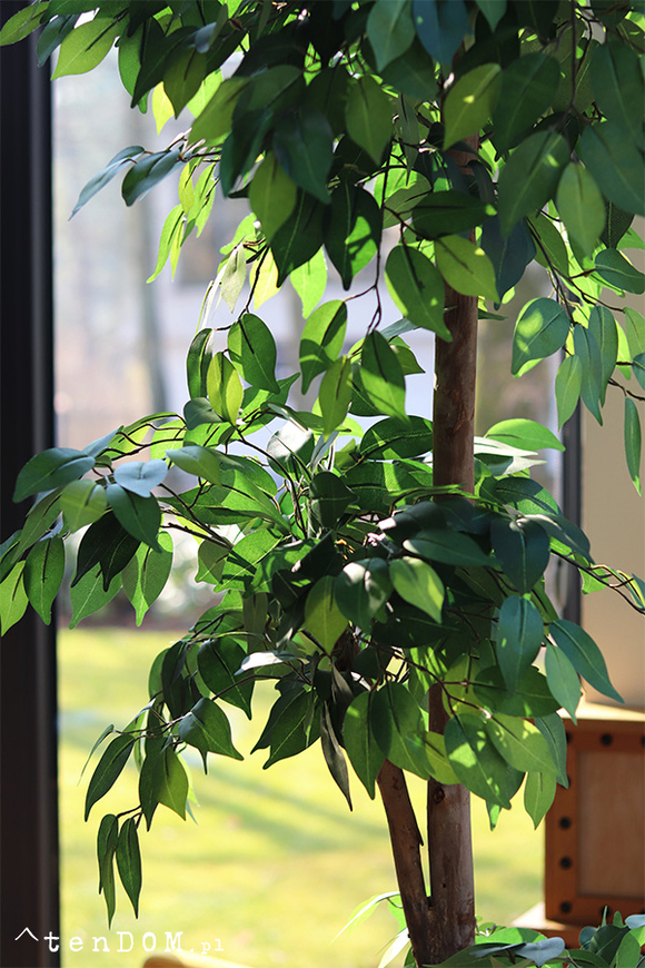 Fikus Benjamin H Deluxe, sztuczna roślina w doniczce