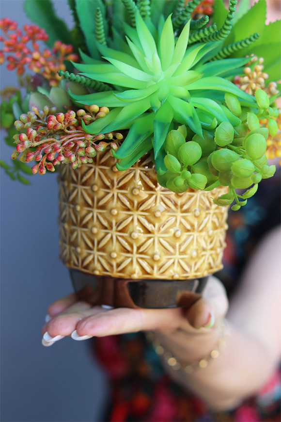 Miodowa, kompozycja sukulenty w donicy vintage, wys.25cm 