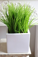 Fiberglass White, sztuczne trawy w eleganckiej donicy	