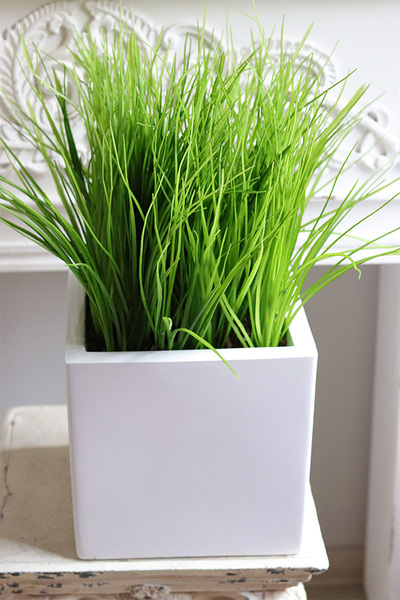 Fiberglass White, sztuczne trawy w eleganckiej donicy	