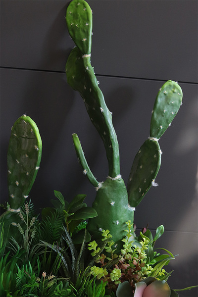 Cacti Grey Fiberglass, sukulenty ze kaktusem w szarej donicy,