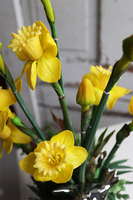 kompozycja wiosenna z gumowymi żonkilami, Esteria Salise, wys.54cm