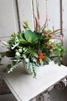 Augustina Design, kompozycja z sukulentami, wym.36x30cm